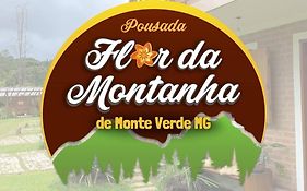 Flor Da Montanha